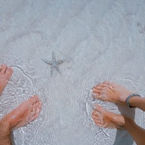 sea, ocean, water-2564085.jpg